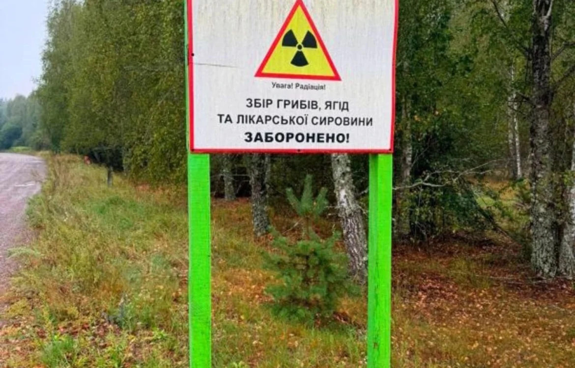 Українські Національні Новини (УНН)