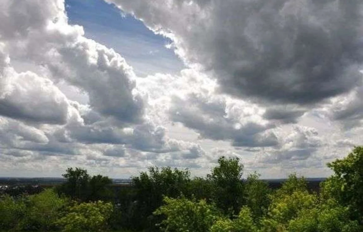 Українські Національні Новини (УНН)