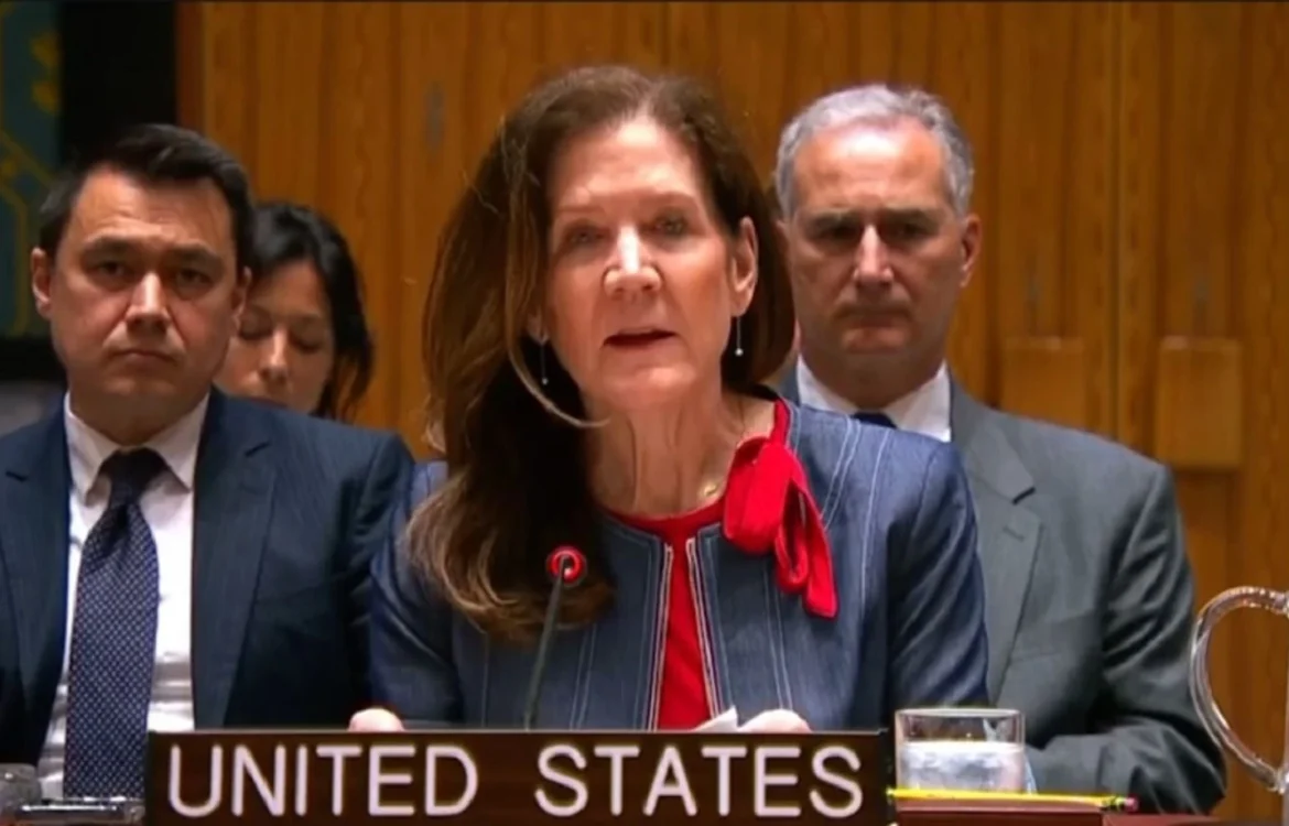 "Захищатимемо кожен сантиметр території НАТО": США під час Радбезу ООН