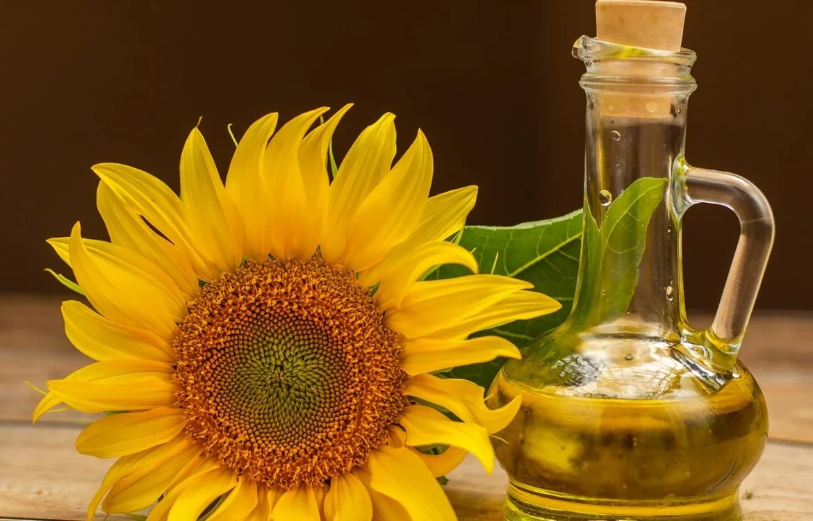 Ціни на соняшникову олію в Європі та Україні різко зросли через посушливе літо - Вloomberg