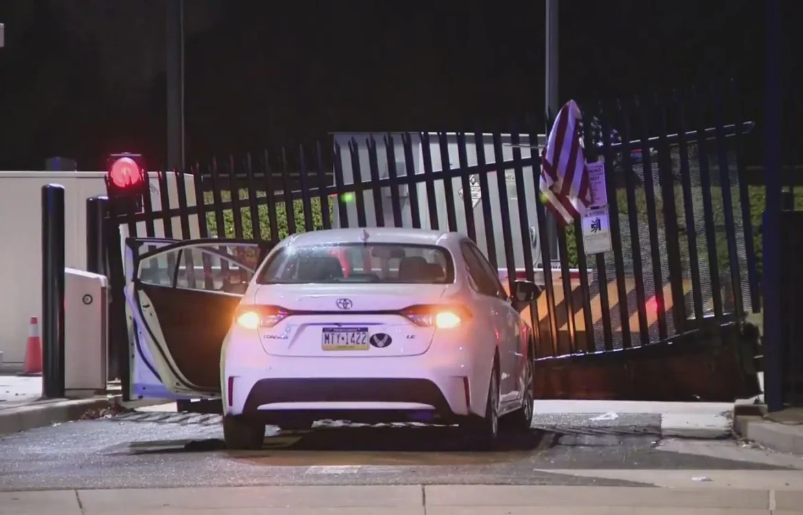 Українські Національні Новини (УНН)