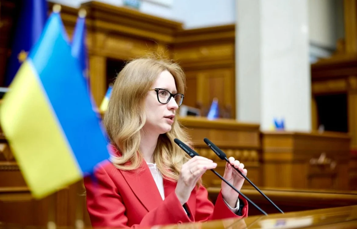 Україна має отримати дозвіл партнерів використовувати їхні гроші для оборони - голова бюджетного комітету