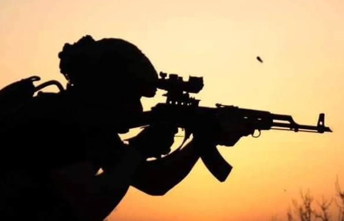 Українські Національні Новини (УНН)