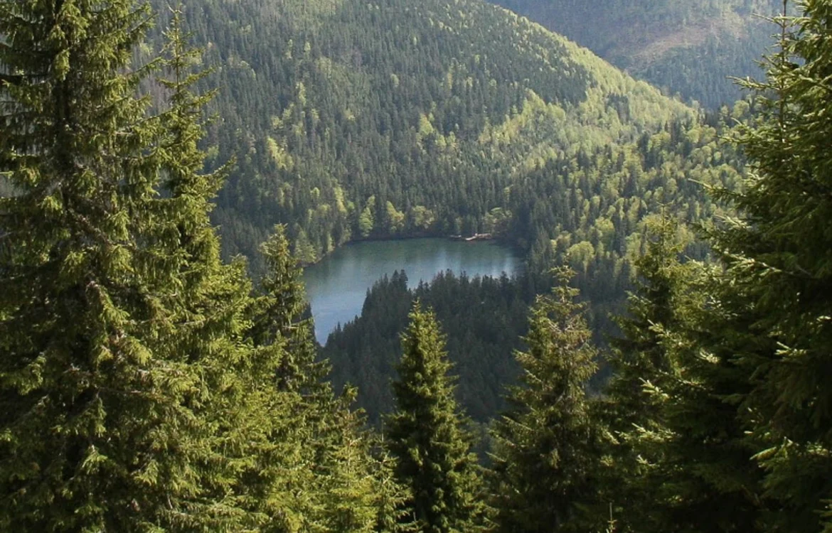 Українські Національні Новини (УНН)