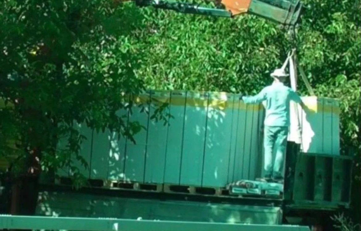 Українські Національні Новини (УНН)