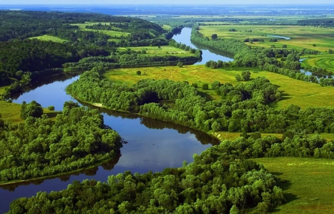 Українські Національні Новини (УНН)