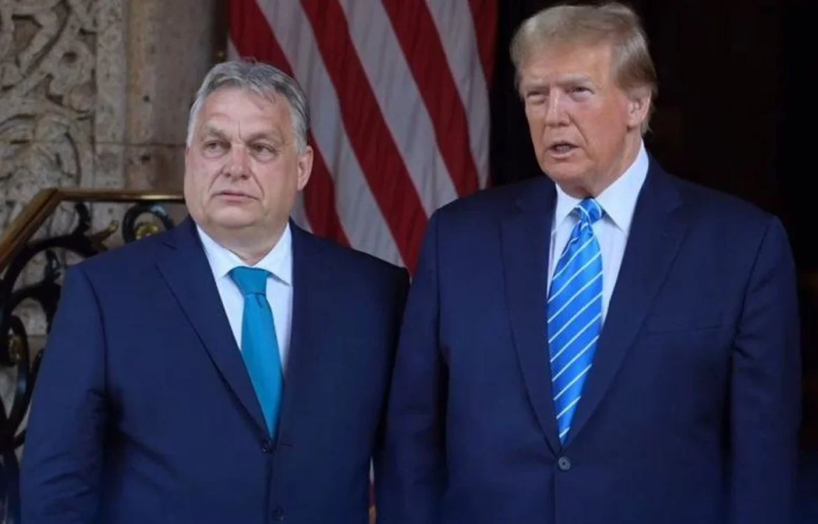 Українські Національні Новини (УНН)