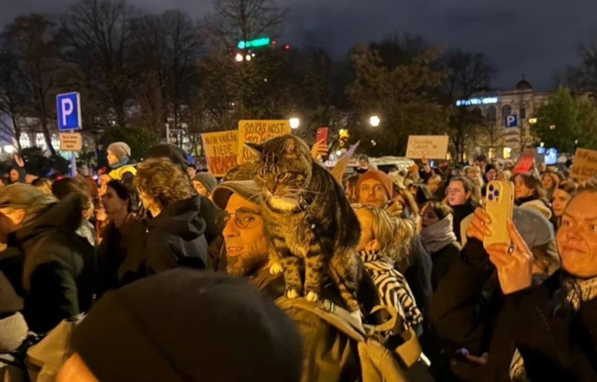 Українські Національні Новини (УНН)