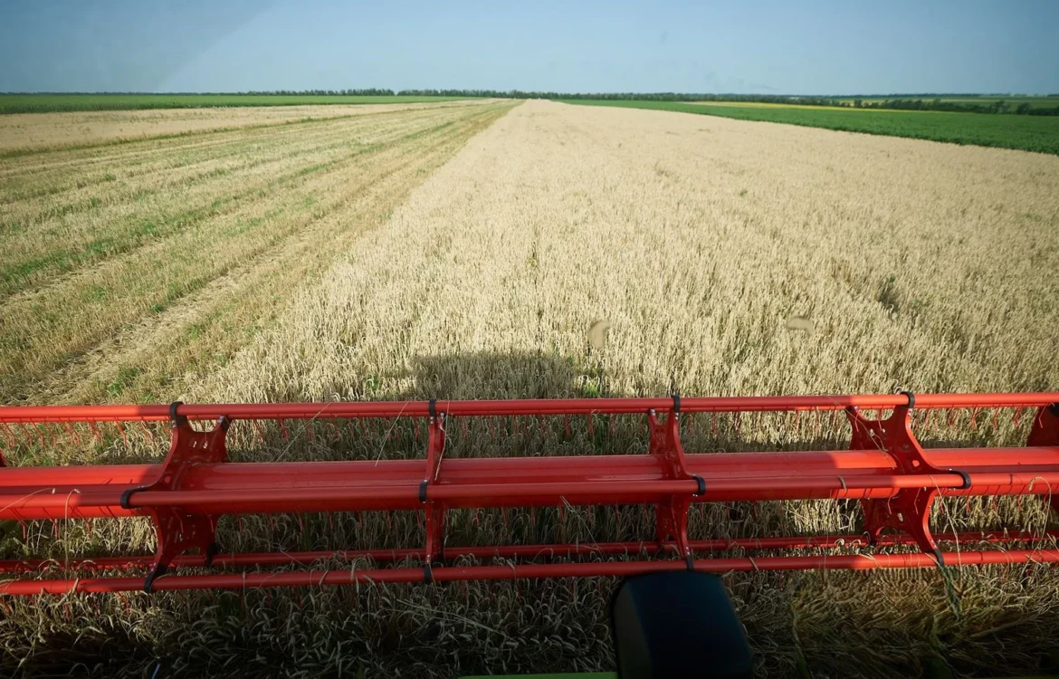 Жнива-2025: Україна зібрала близько 48 млн тонн зерна з 84% засіяних полів