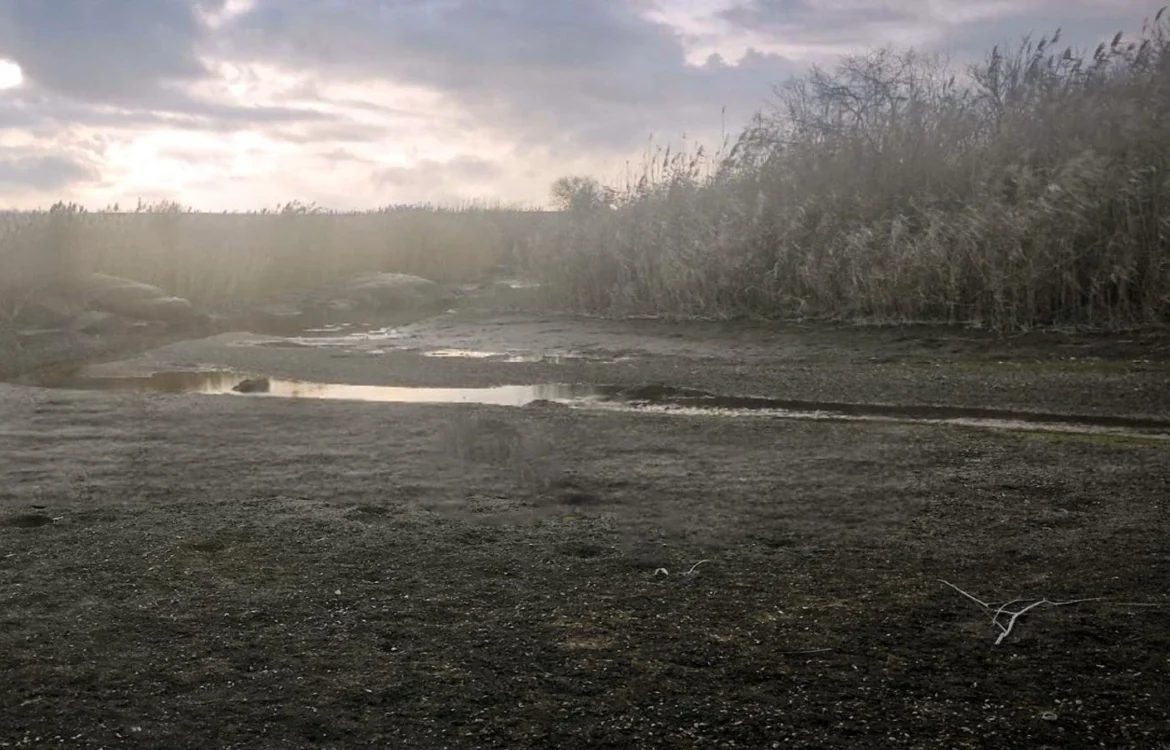 Українські Національні Новини (УНН)