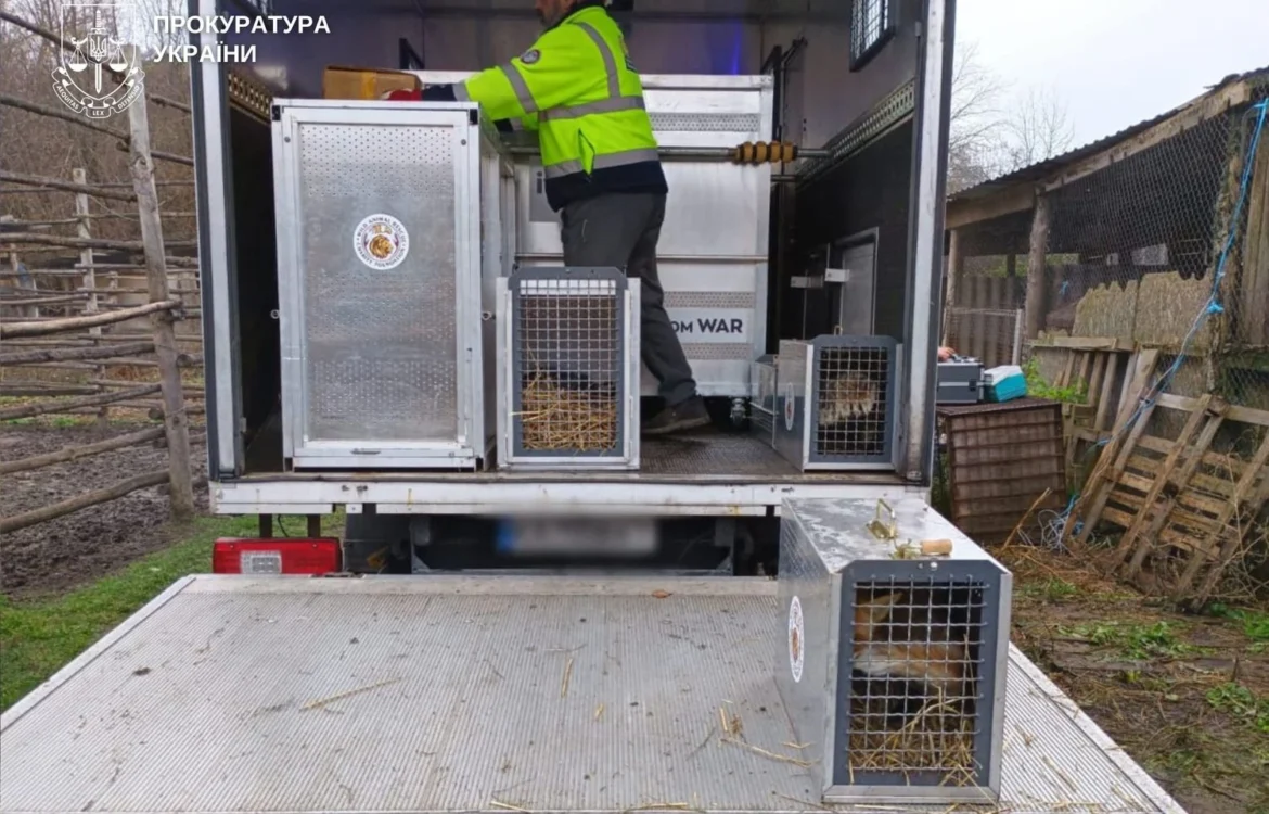 Не лише левиць: ще частину тварин вилучили із приватного зоокутка у Хмельницькому