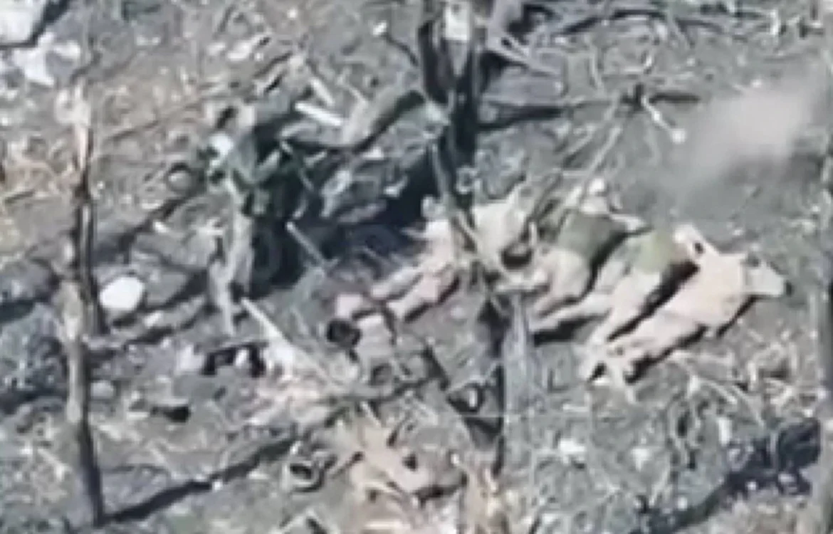 Окупанти розстріляли 5 полонених військовослужбовців ЗСУ, розпочато розслідування - Офіс Генпрокурора