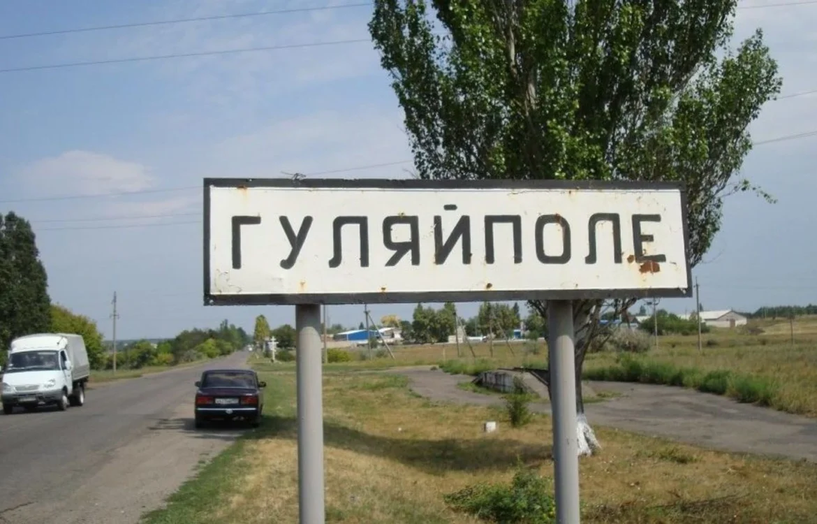 Сили оборони активно знищили росіян, які бігли в Гуляйполе - Коваленко