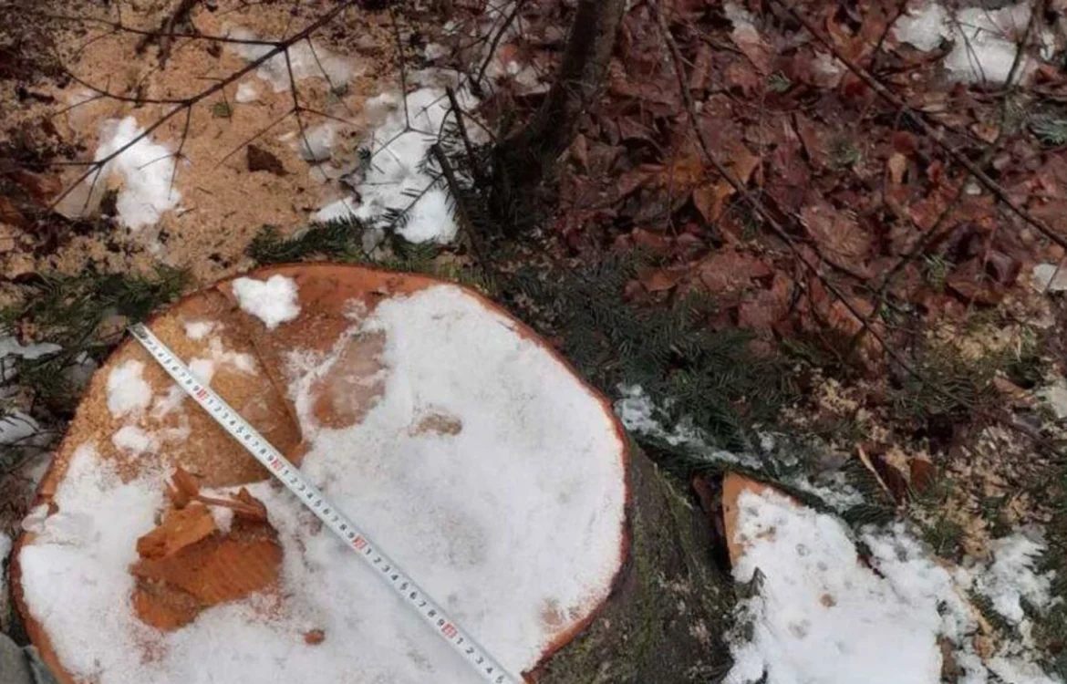 Українські Національні Новини (УНН)