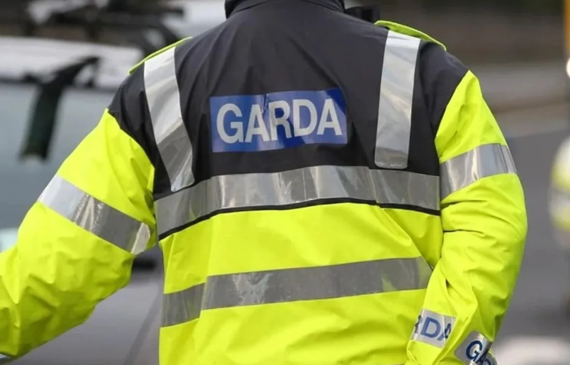 Безпілотники у безпольотній зоні під час прибуття Зеленського до Дубліна: поліція Ірландії розпочала розслідування