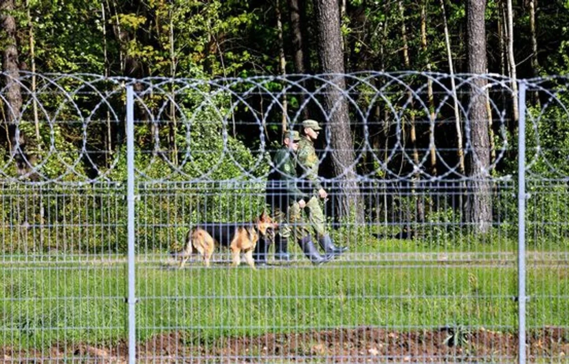 Українські Національні Новини (УНН)