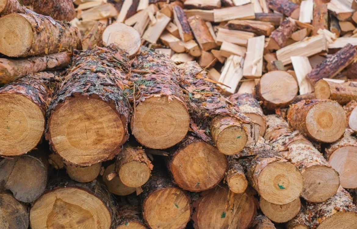 Безпідставна закупівля деревини на 1,6 млн грн: ексдиректору