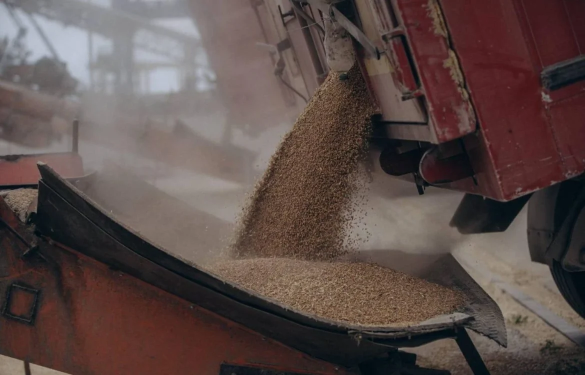 Україна завершила збір врожаю: 57,6 млн тонн зернових та 17,3 млн тонн олійних