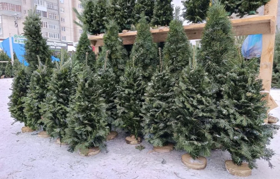 Українські Національні Новини (УНН)