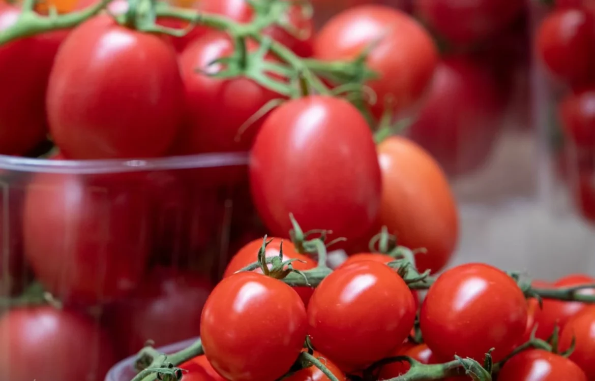 Тепличні помідори подорожчали: причини і що з цінами буде далі