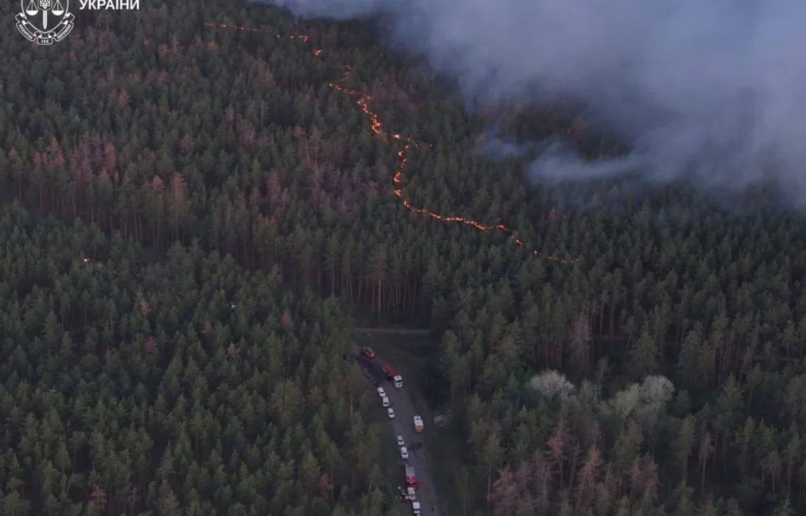 Чоловік отримав підозру за масштабну природну пожежу на сотнях гектарів на Харківщині через недопалок