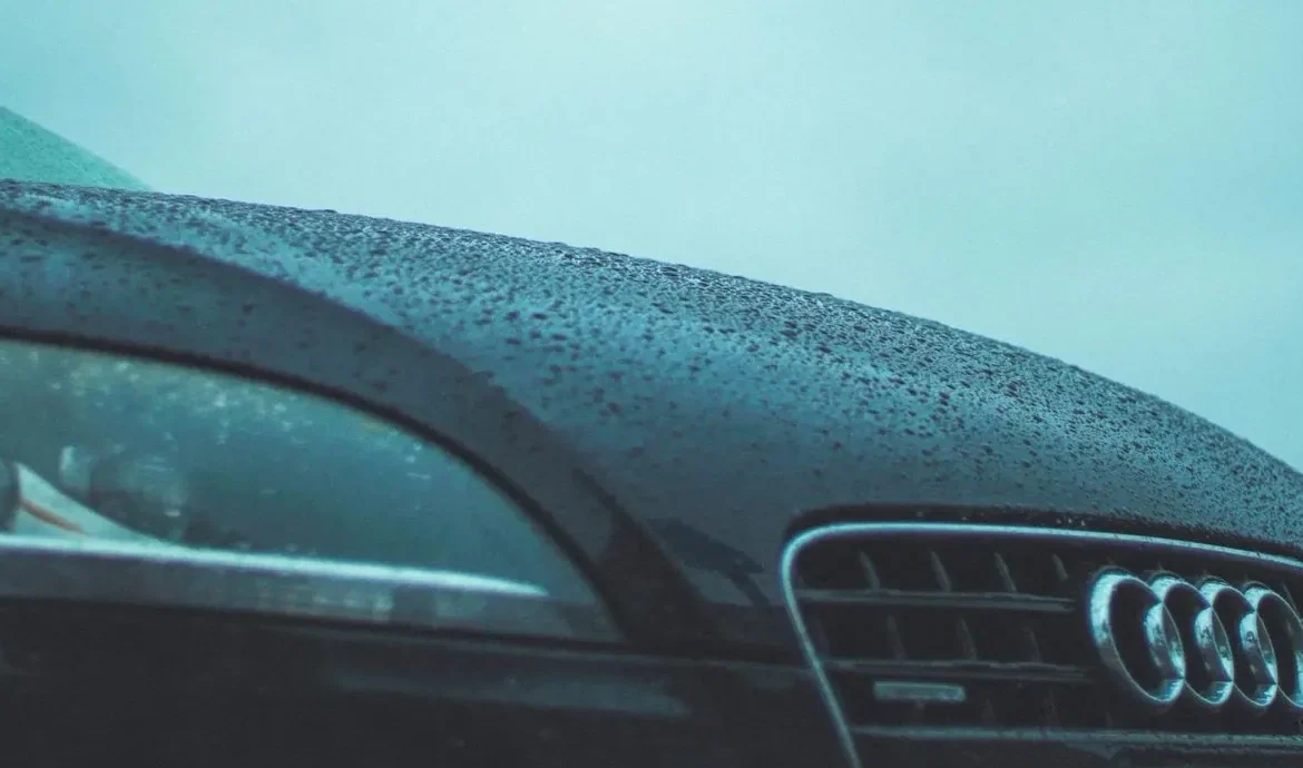 Українські Національні Новини (УНН)