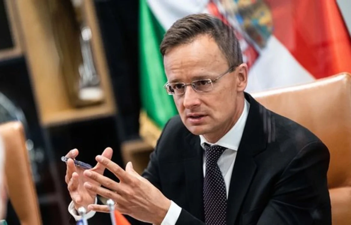 Сійярто відповів Сибізі: безпеку Угорщини гарантує НАТО, а не Україна