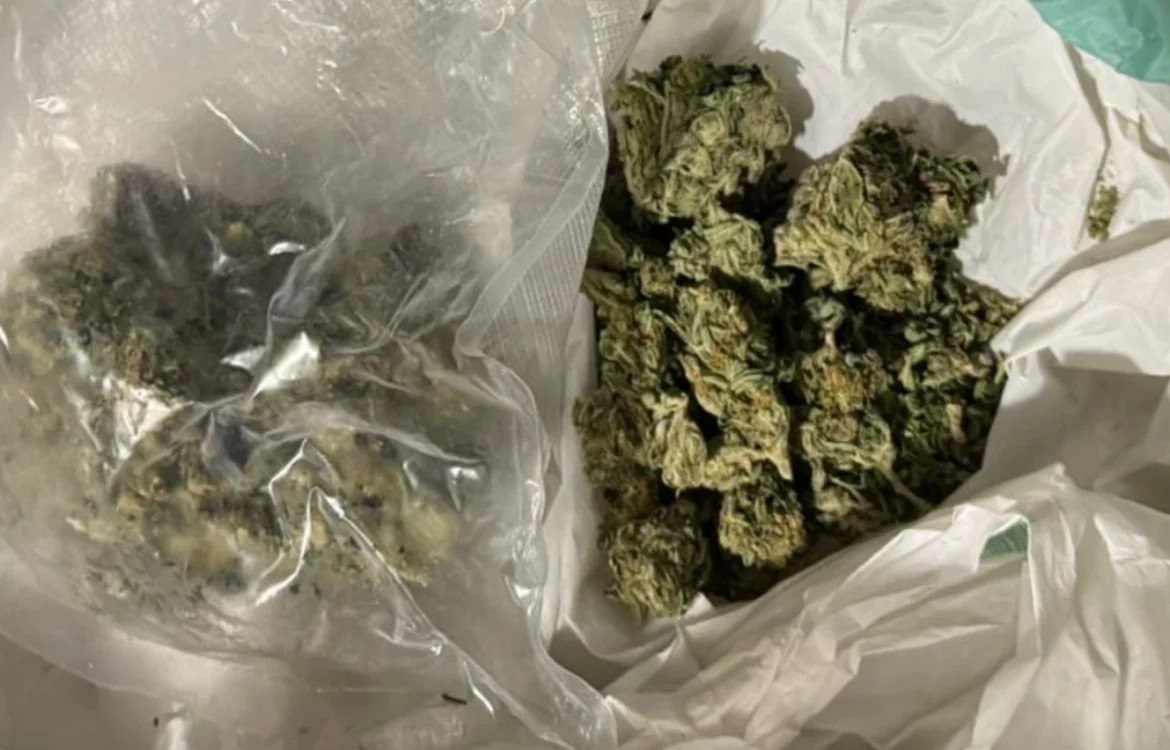 Українські Національні Новини (УНН)