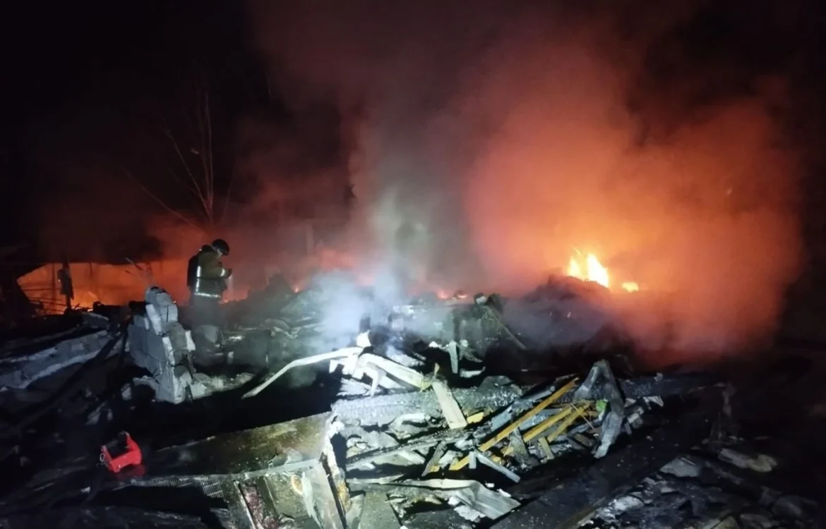 Атака рф по Запоріжжю і області: поранено 10 людей, знищено притулок для собак, загинули тварини