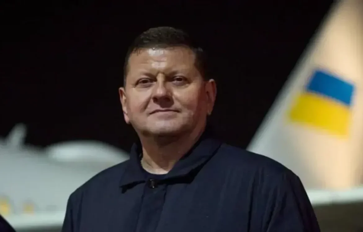 Обшуки СБУ в офісі тодішнього Головкома та провал контрнаступу у 2023 році - Залужний дав інтерв’ю AP