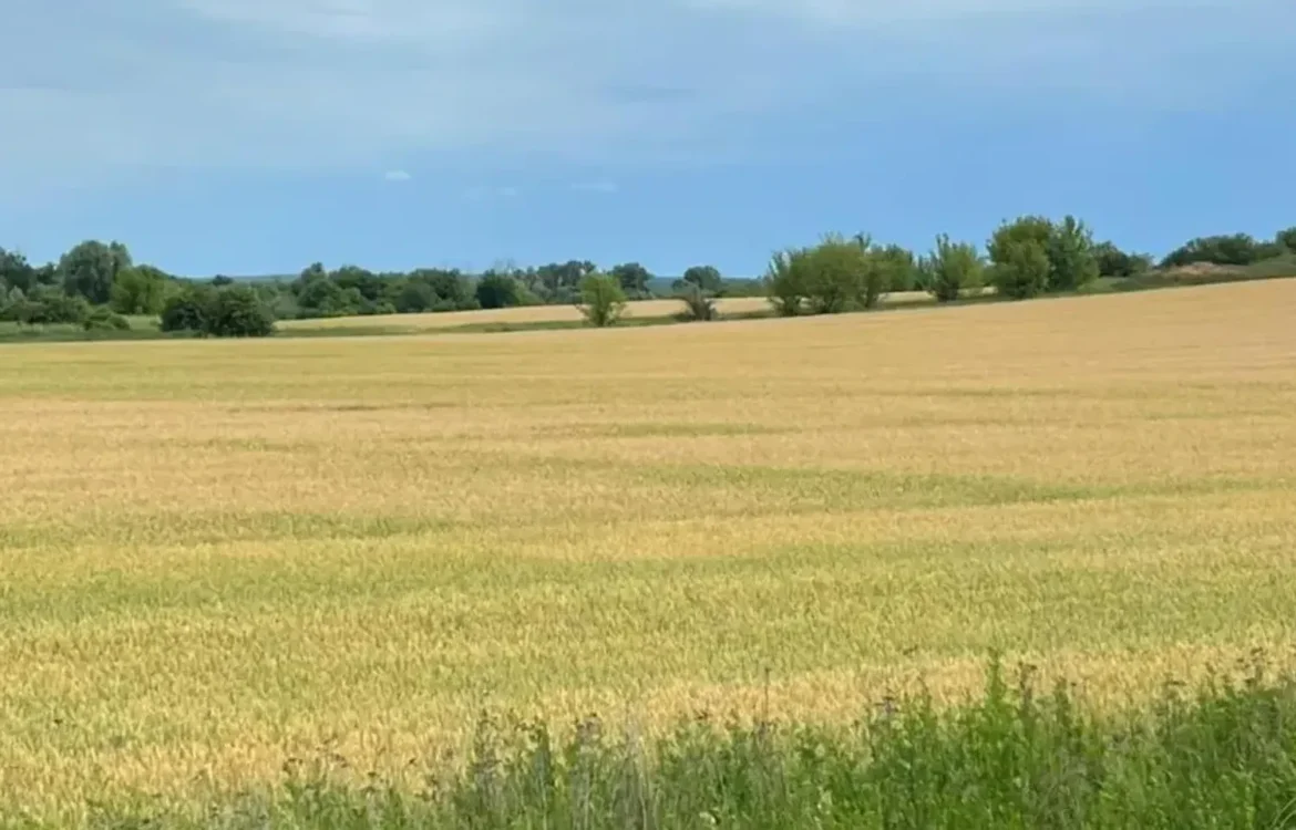 Прокуратура Київщини домоглася повернення тисяч гектарів землі державі